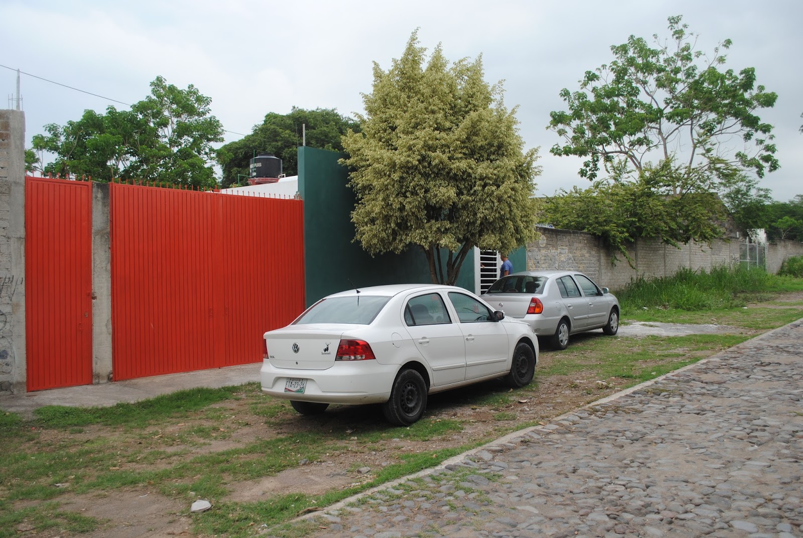 leetx-google-photo-78737-3 leetx-google-photo-78737-3