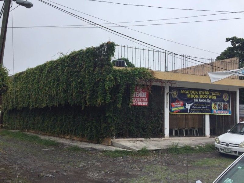 leetx-google-photo-78737-4 leetx-google-photo-78737-4