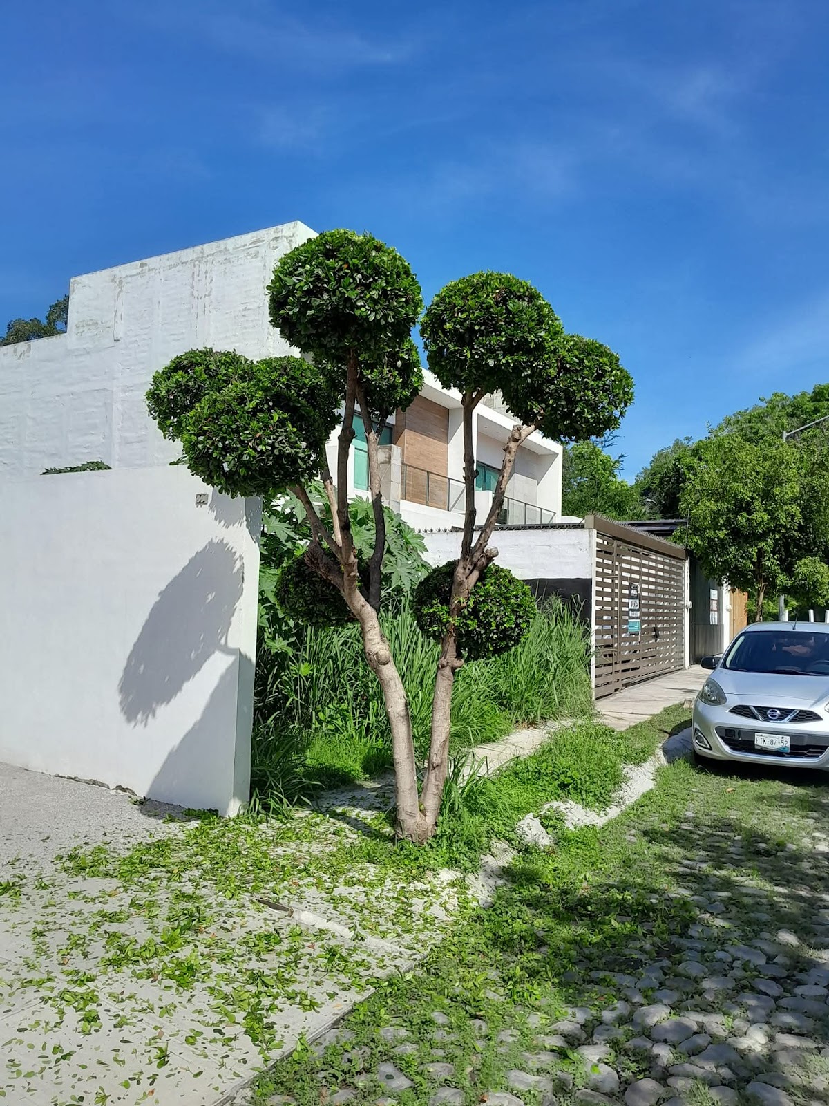 leetx-google-photo-78752-2 leetx-google-photo-78752-2