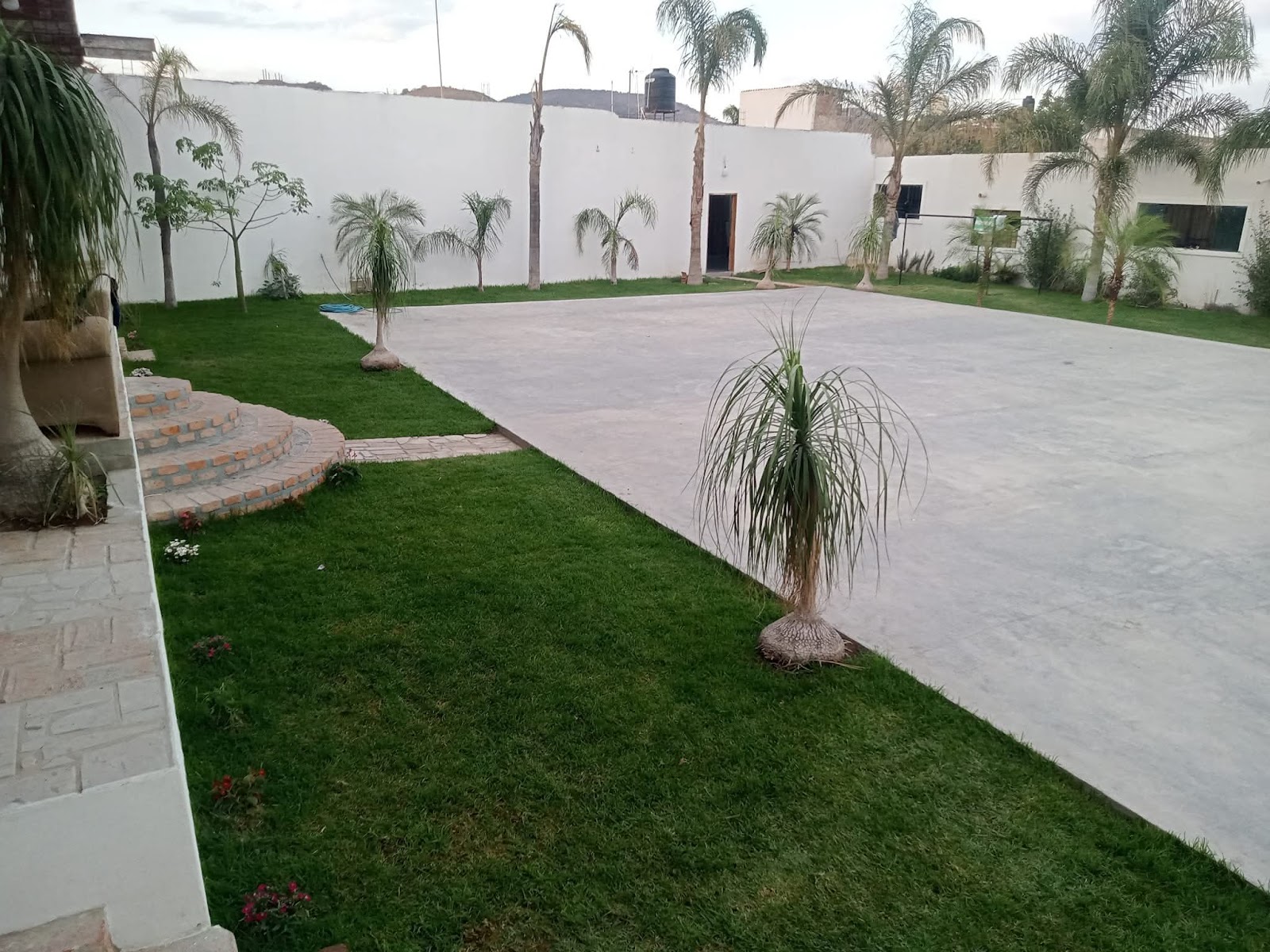 leetx-google-photo-78752-4 leetx-google-photo-78752-4