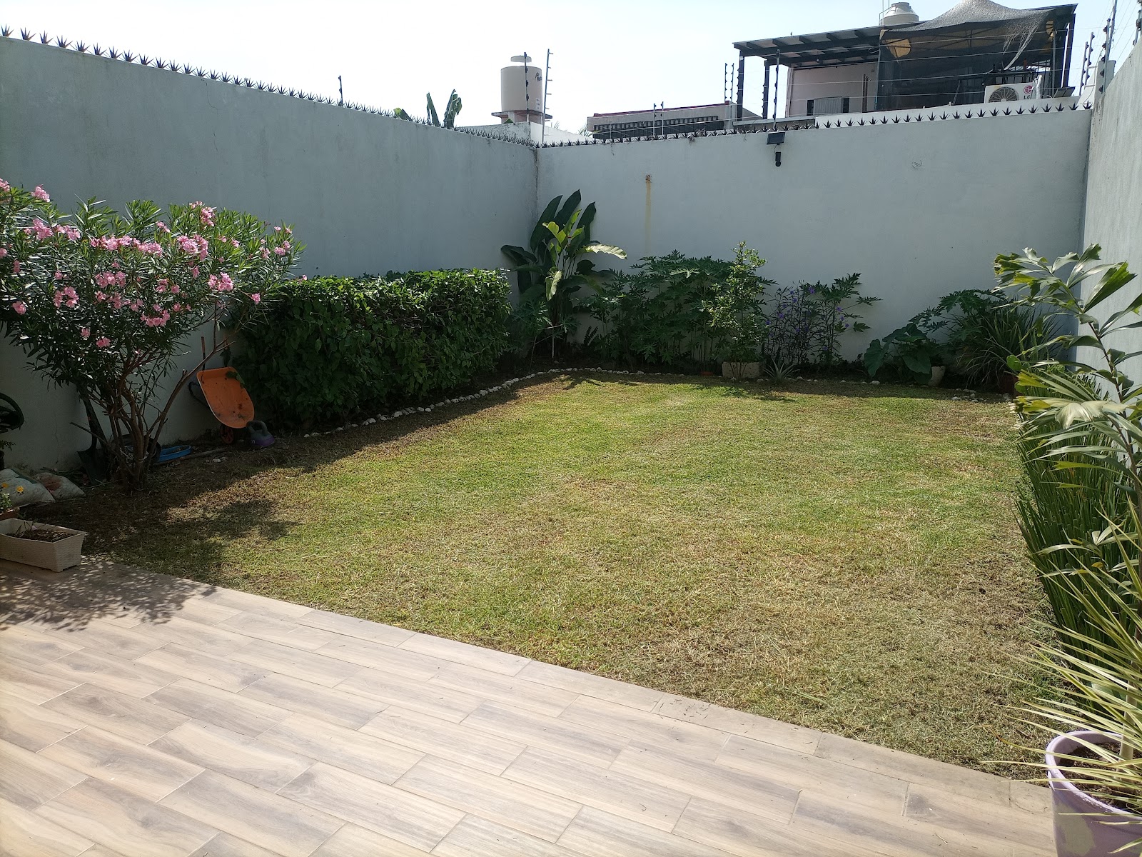 leetx-google-photo-78752-6 leetx-google-photo-78752-6