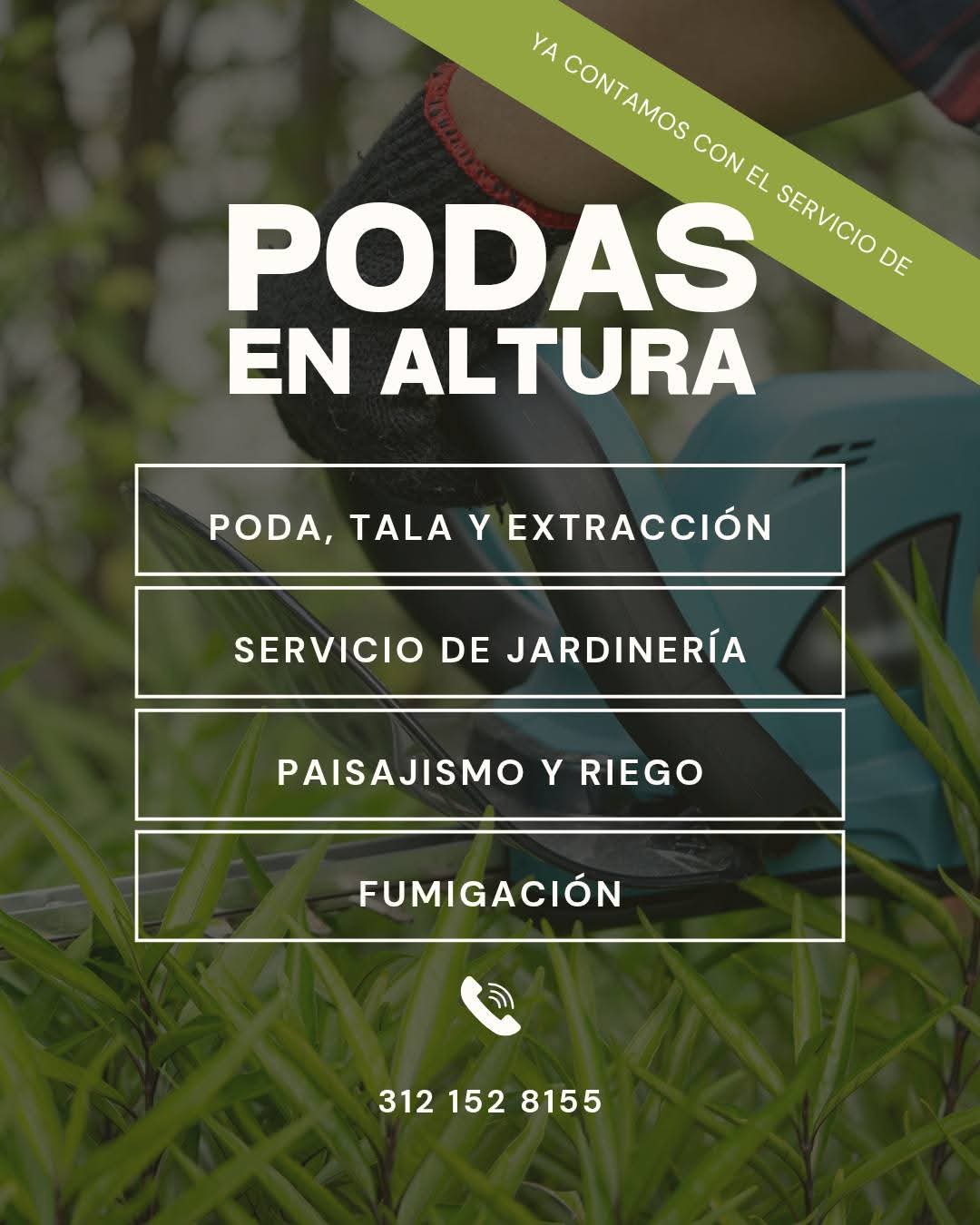 leetx-google-photo-78752-8 leetx-google-photo-78752-8