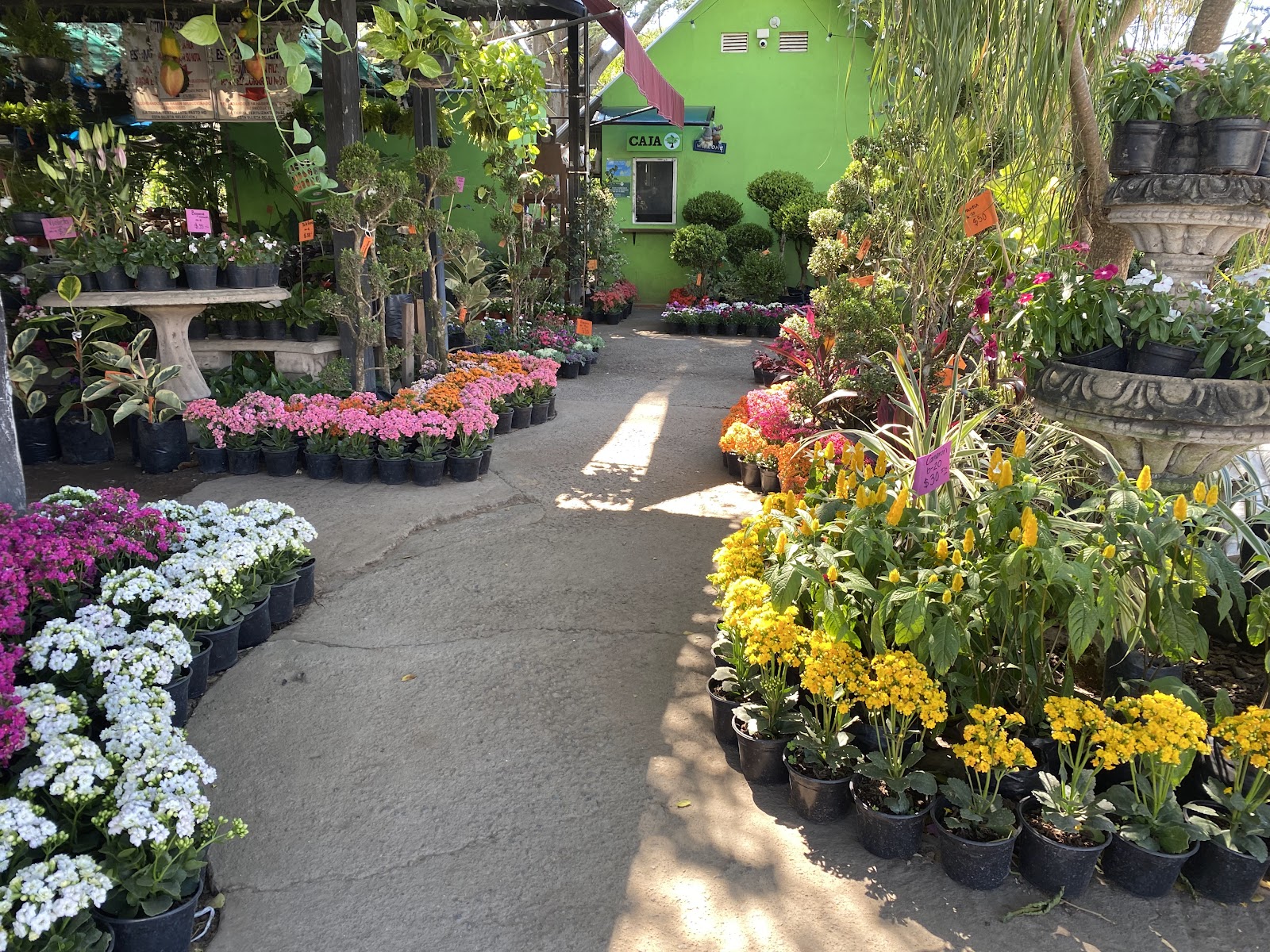 leetx-google-photo-78762-1