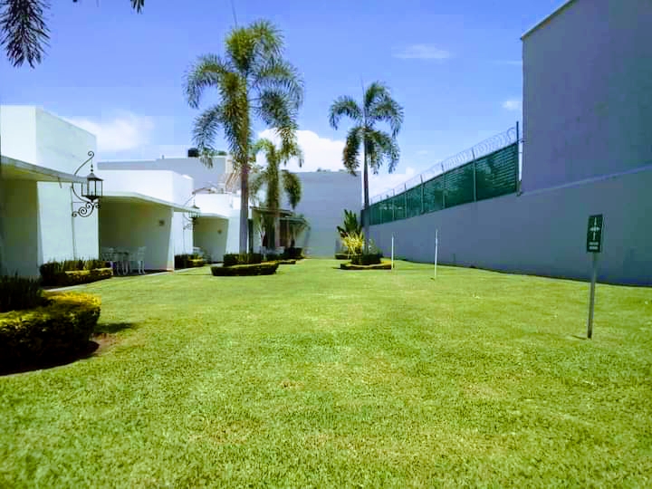 leetx-google-photo-78772-2 leetx-google-photo-78772-2