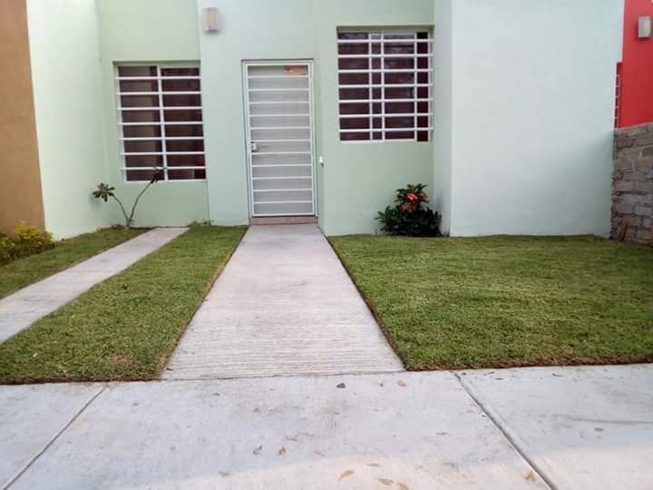 leetx-google-photo-78772-3 leetx-google-photo-78772-3