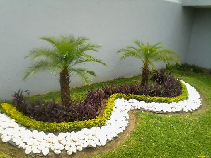 leetx-google-photo-78772-5 leetx-google-photo-78772-5