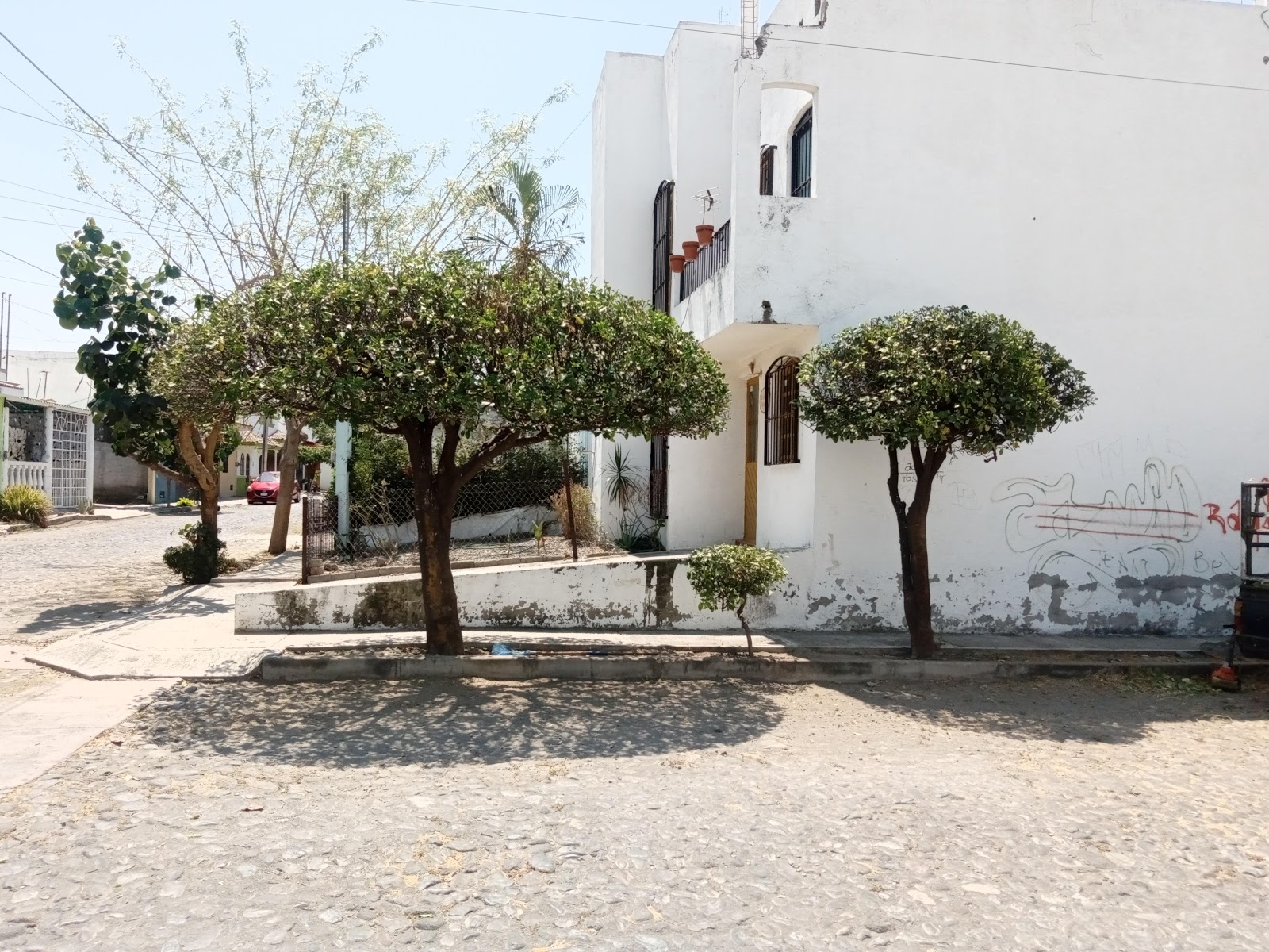 leetx-google-photo-78772-7 leetx-google-photo-78772-7