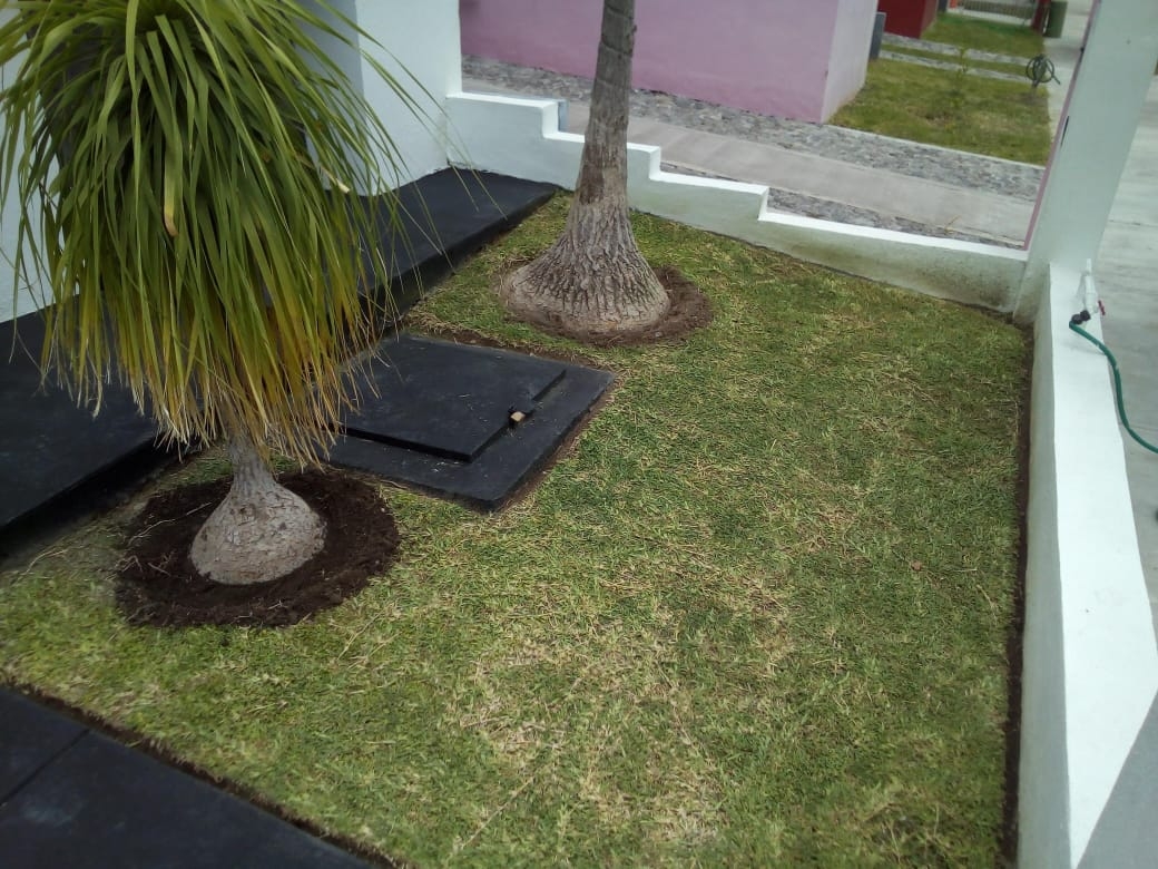 leetx-google-photo-78772-8 leetx-google-photo-78772-8