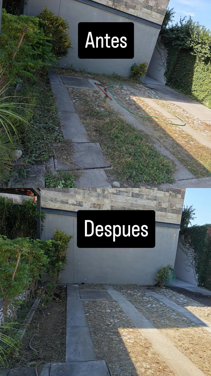 leetx-google-photo-78782-1