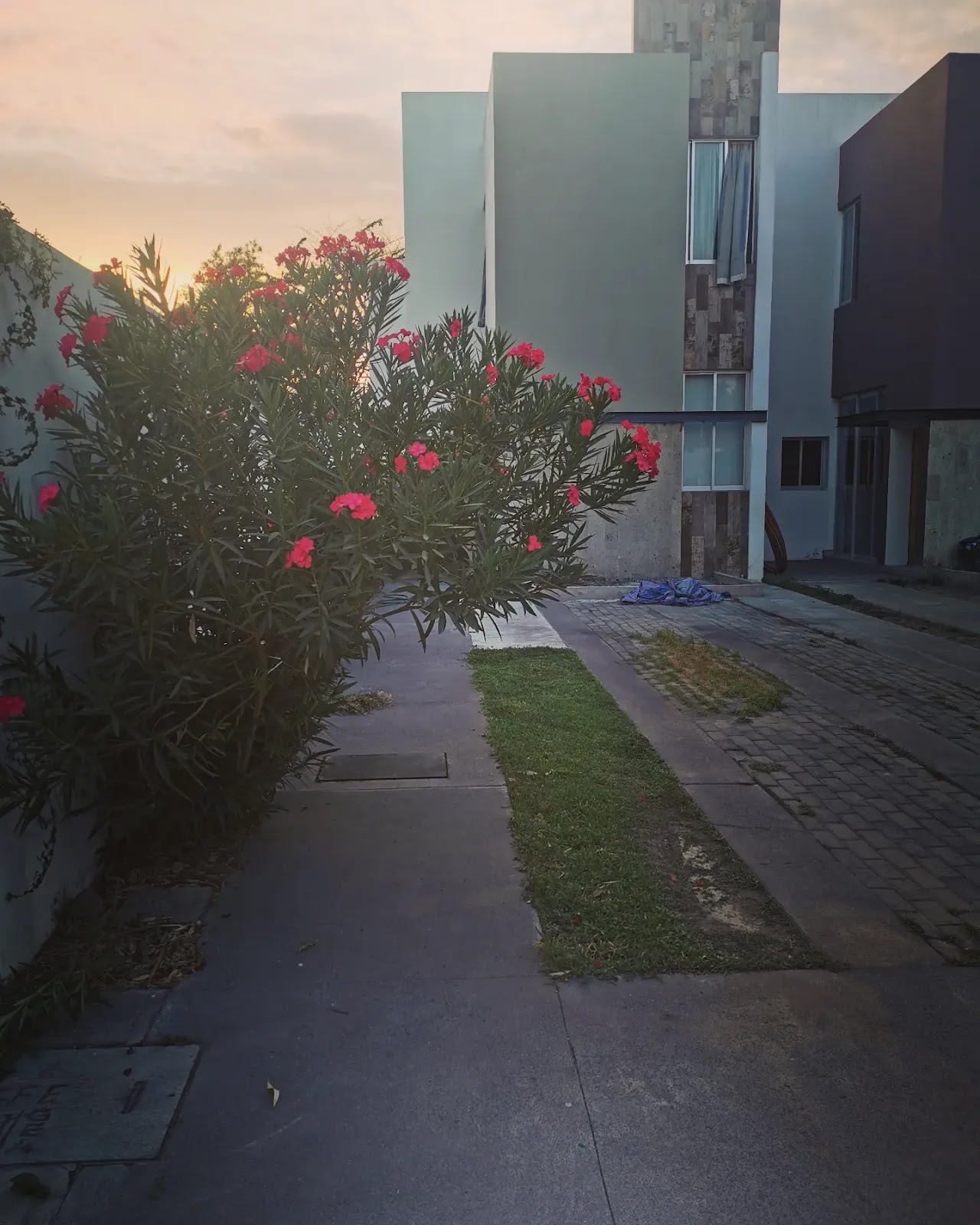 leetx-google-photo-78782-2 leetx-google-photo-78782-2