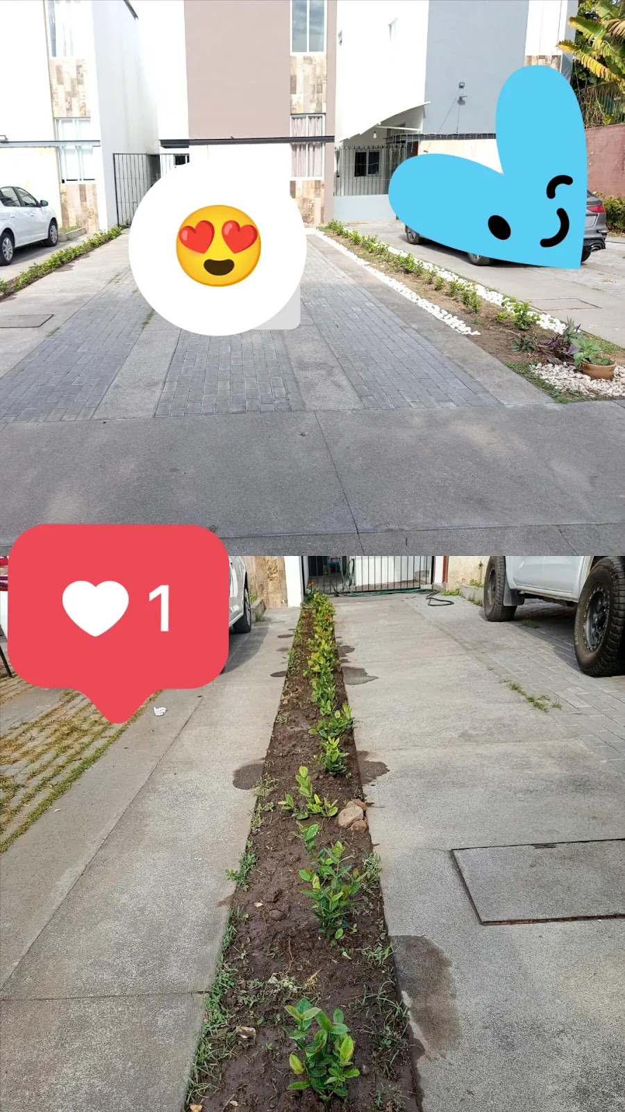 leetx-google-photo-78782-5 leetx-google-photo-78782-5