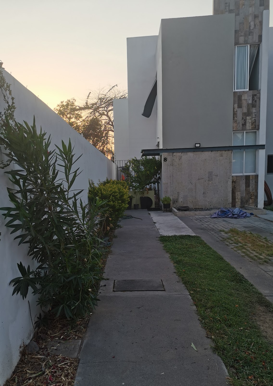 leetx-google-photo-78782-6 leetx-google-photo-78782-6