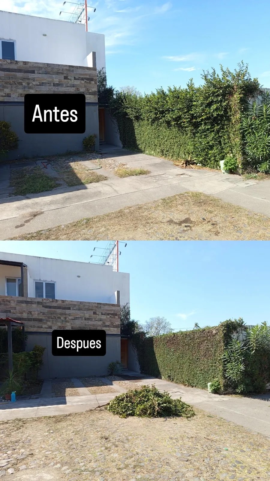 leetx-google-photo-78782-7 leetx-google-photo-78782-7