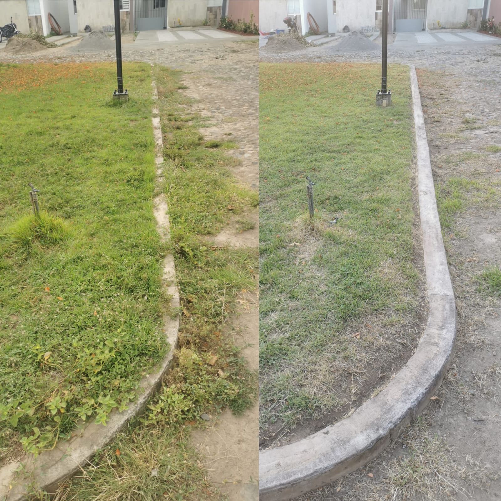 leetx-google-photo-78782-8 leetx-google-photo-78782-8