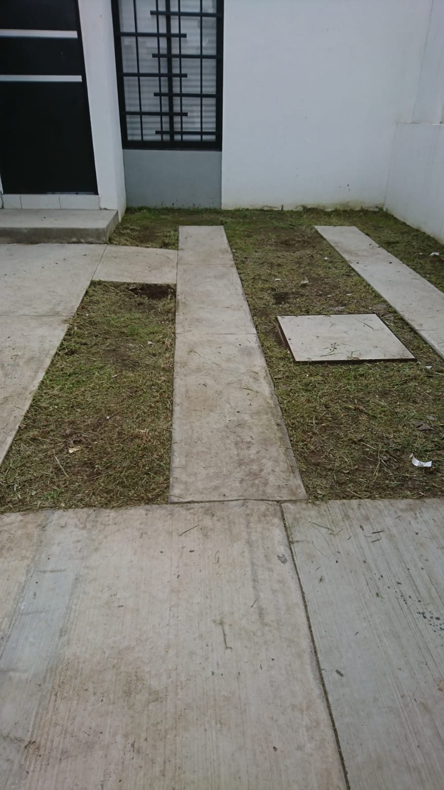 leetx-google-photo-78795-1