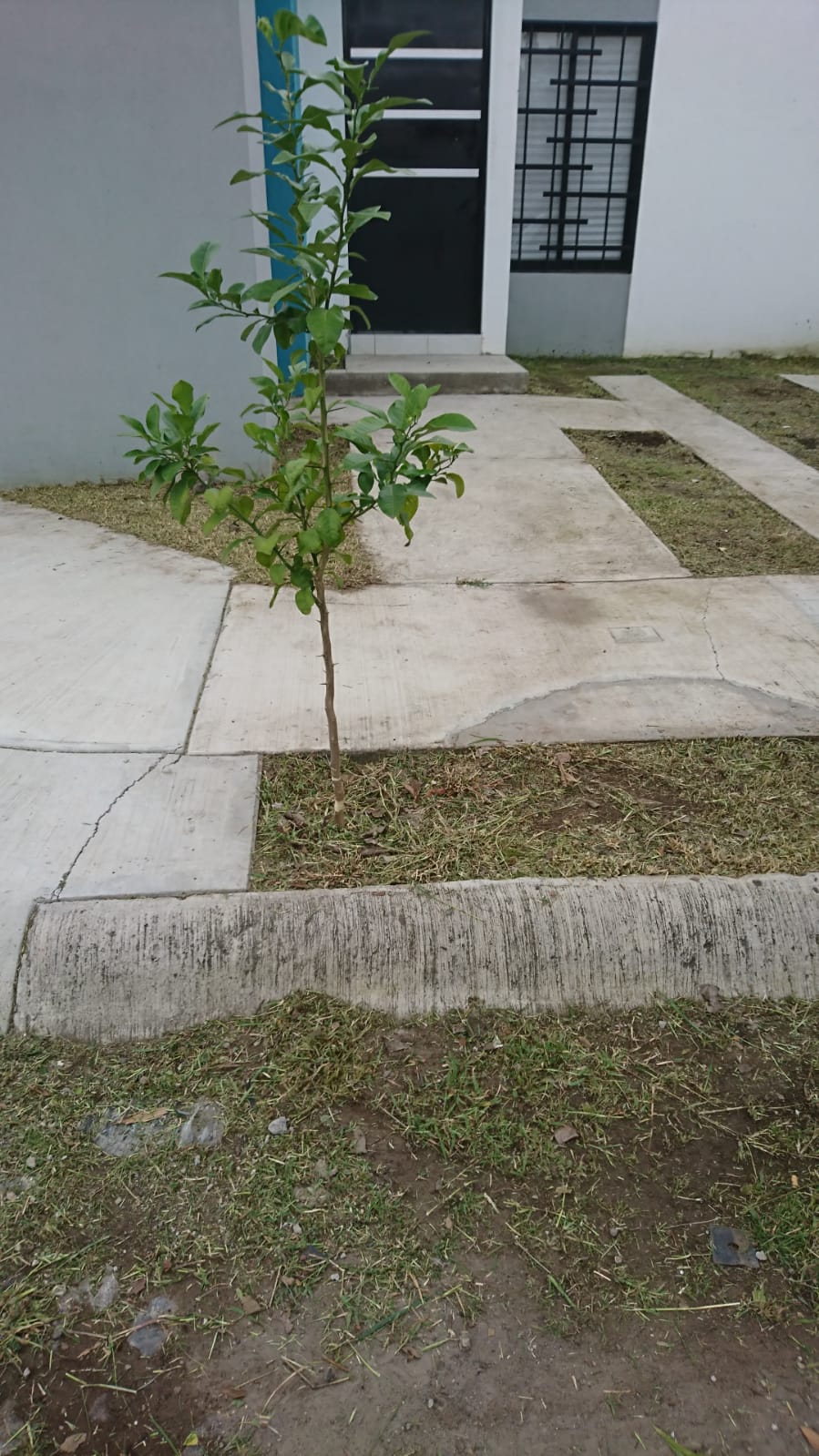 leetx-google-photo-78795-3 leetx-google-photo-78795-3