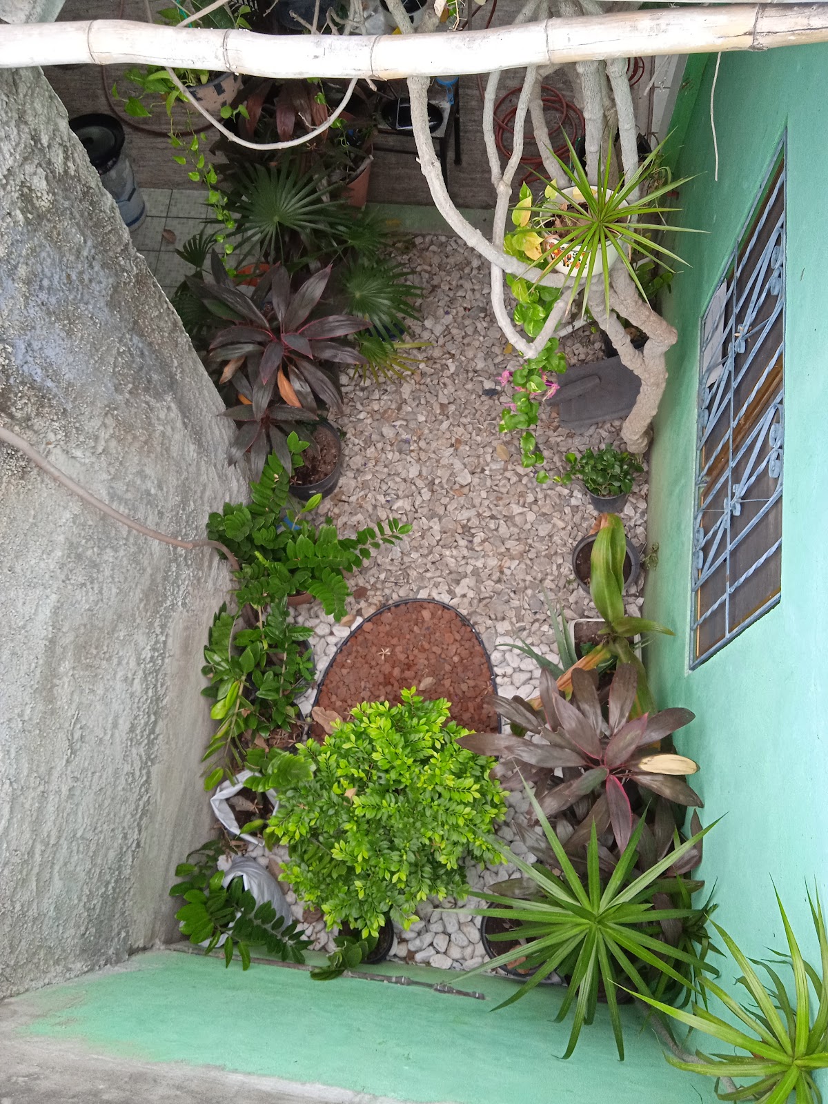 leetx-google-photo-78799-1