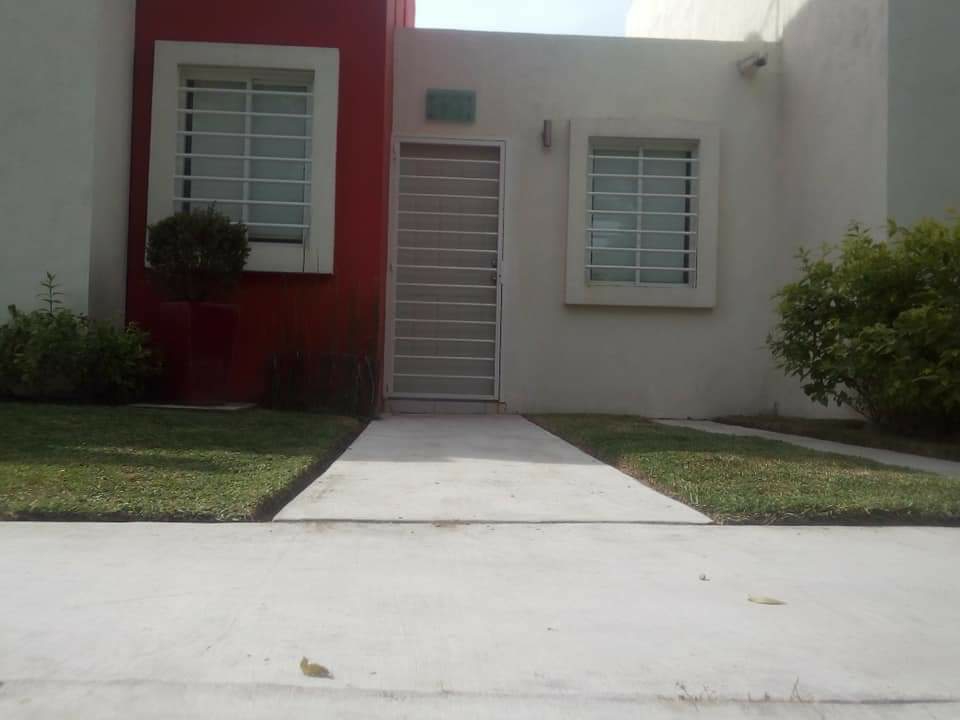 leetx-google-photo-78809-2 leetx-google-photo-78809-2