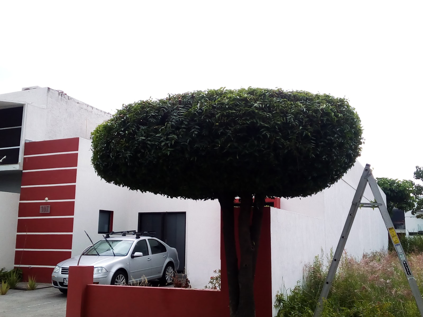 leetx-google-photo-78809-3 leetx-google-photo-78809-3