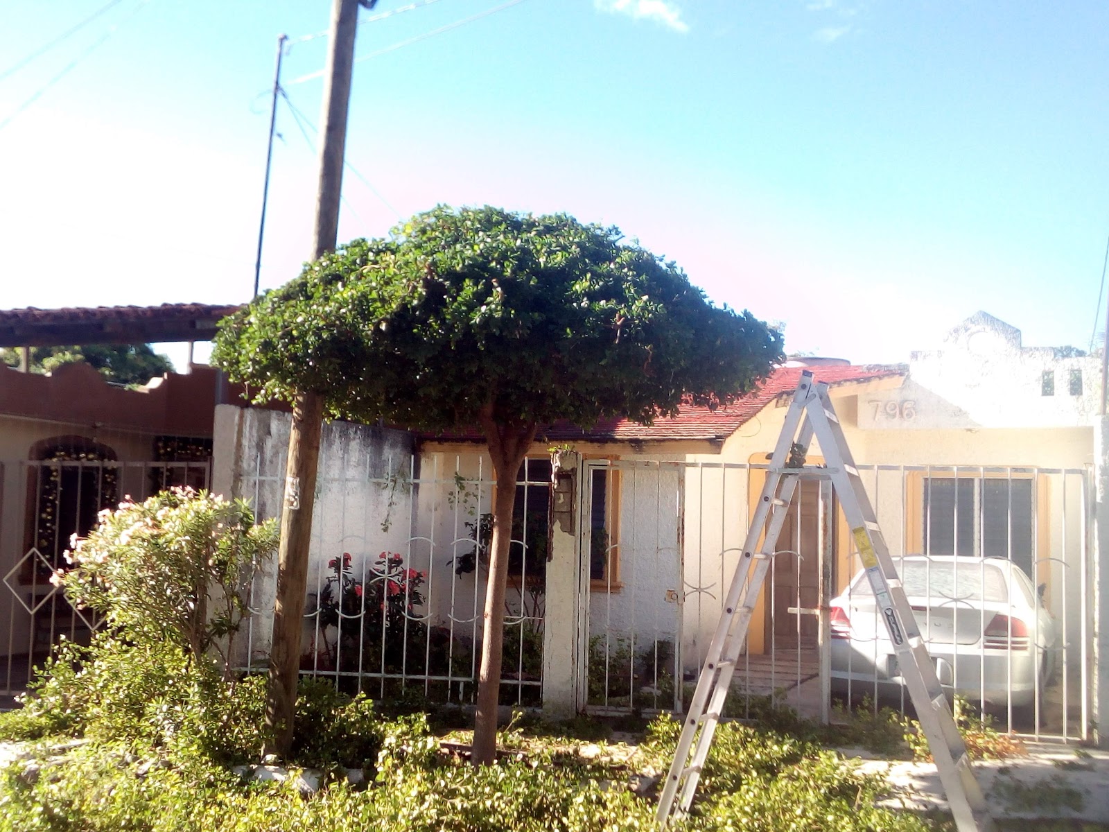 leetx-google-photo-78809-4 leetx-google-photo-78809-4