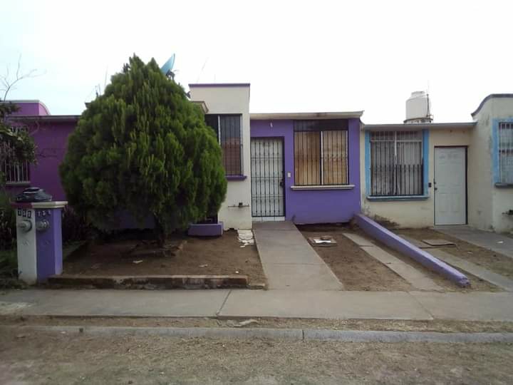 leetx-google-photo-78809-5 leetx-google-photo-78809-5