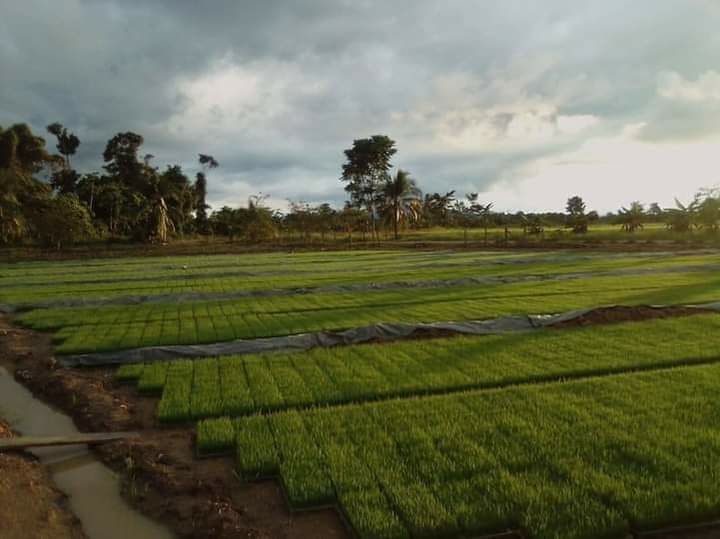 leetx-google-photo-78809-6 leetx-google-photo-78809-6