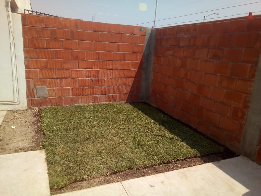 leetx-google-photo-78809-8 leetx-google-photo-78809-8