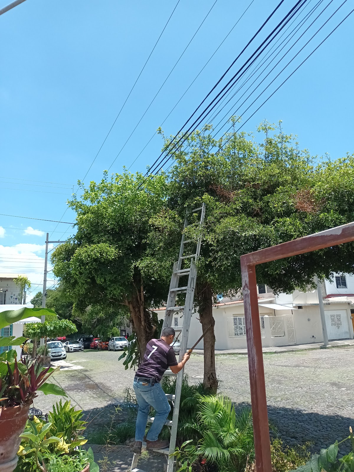 leetx-google-photo-78819-1