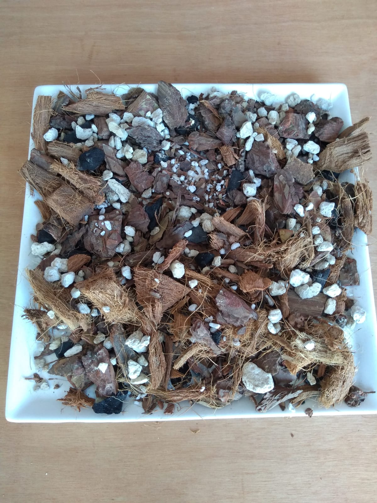 leetx-google-photo-78821-1