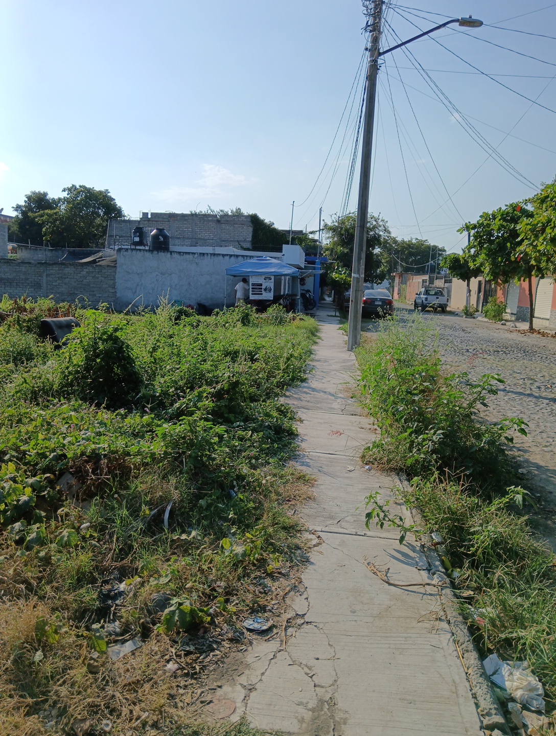 leetx-google-photo-78957-2 leetx-google-photo-78957-2