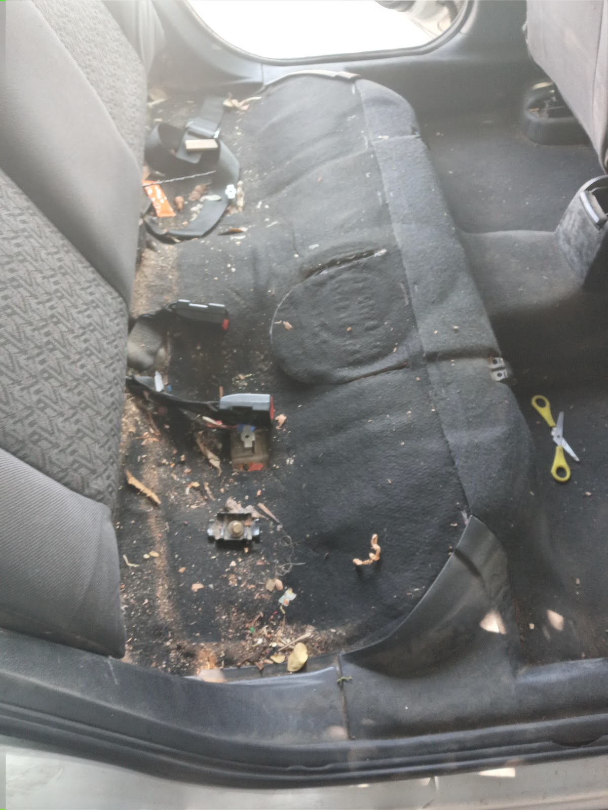 leetx-google-photo-78960-8 leetx-google-photo-78960-8