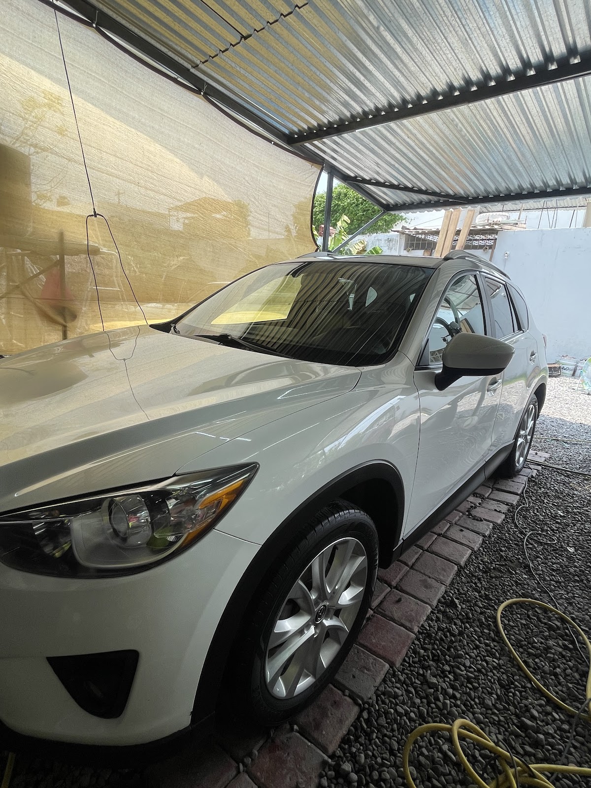 leetx-google-photo-79002-1