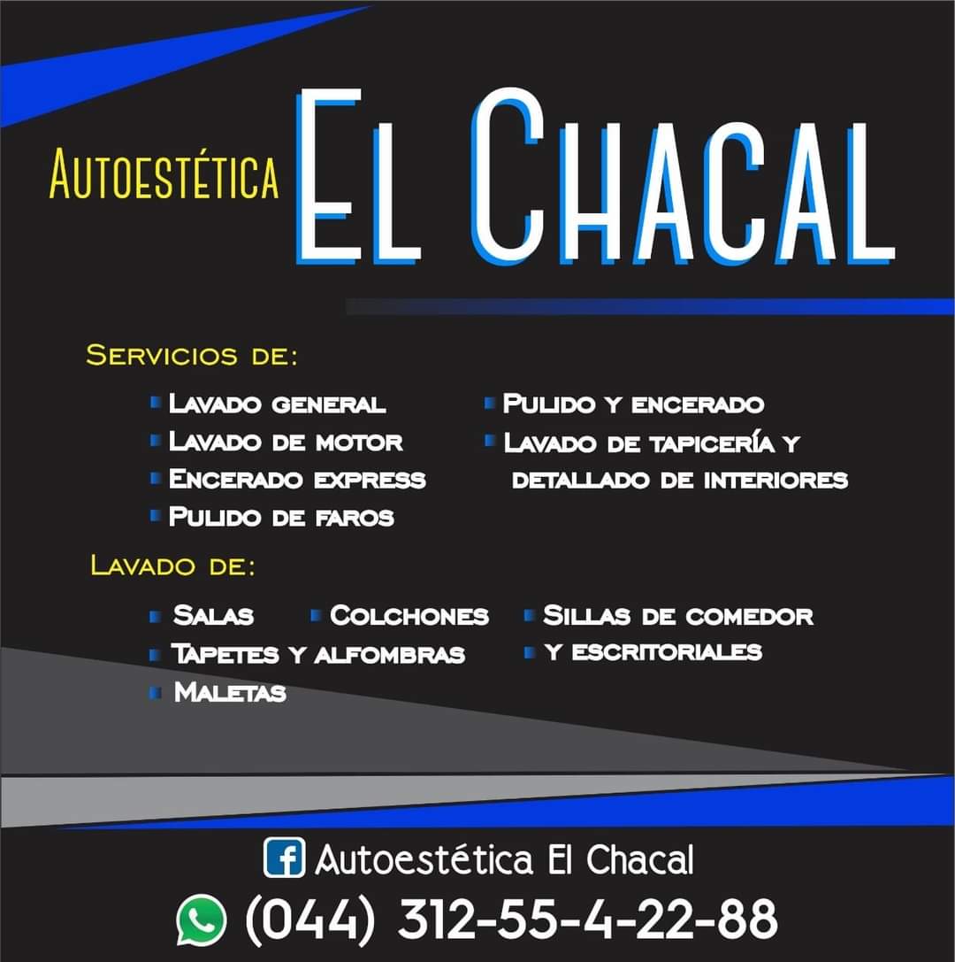 leetx-google-photo-79042-3 leetx-google-photo-79042-3