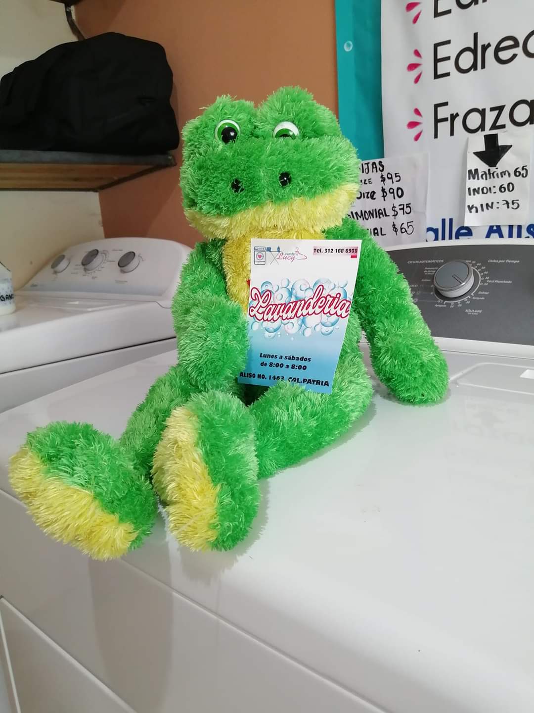 leetx-google-photo-79123-5 leetx-google-photo-79123-5