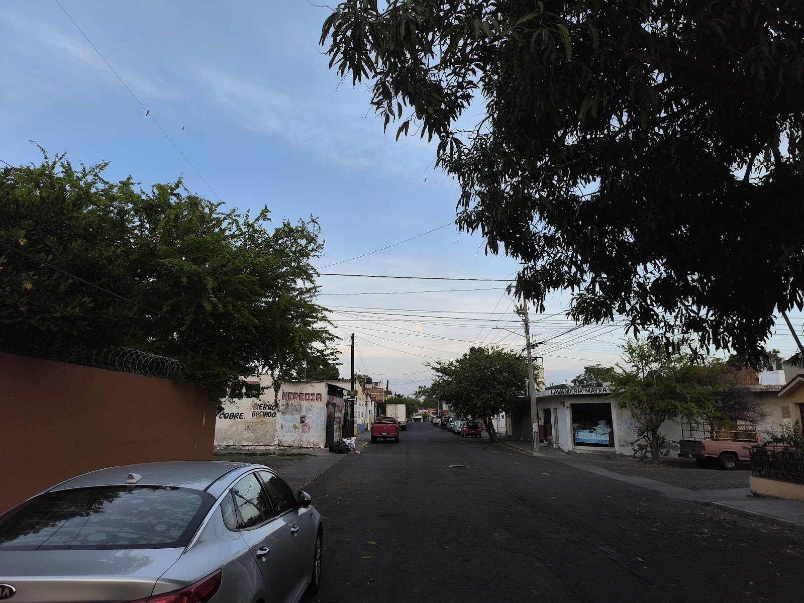 leetx-google-photo-79172-1