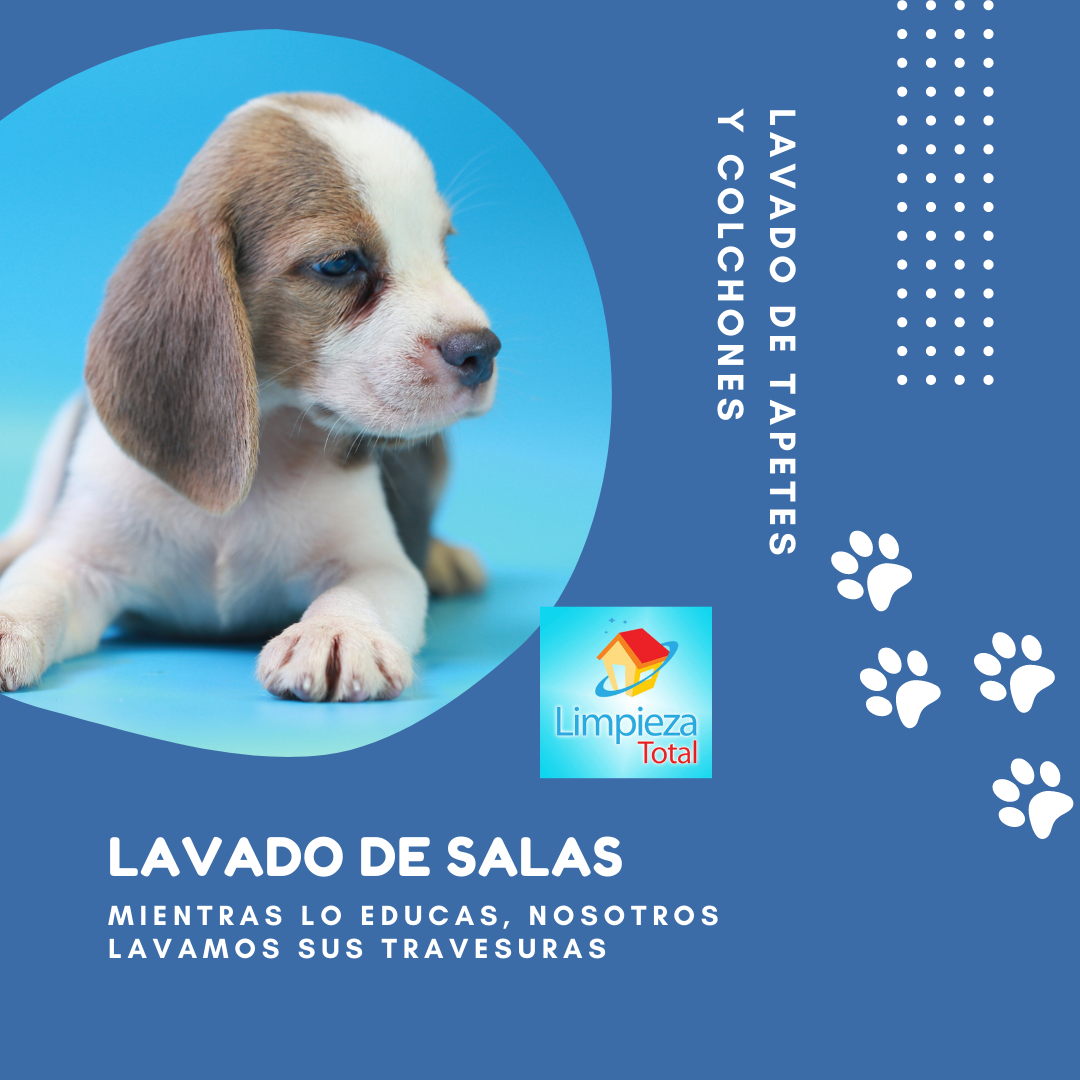 leetx-google-photo-79276-3 leetx-google-photo-79276-3