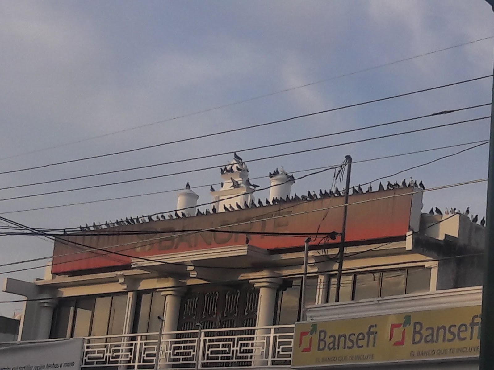 leetx-google-photo-79393-3 leetx-google-photo-79393-3