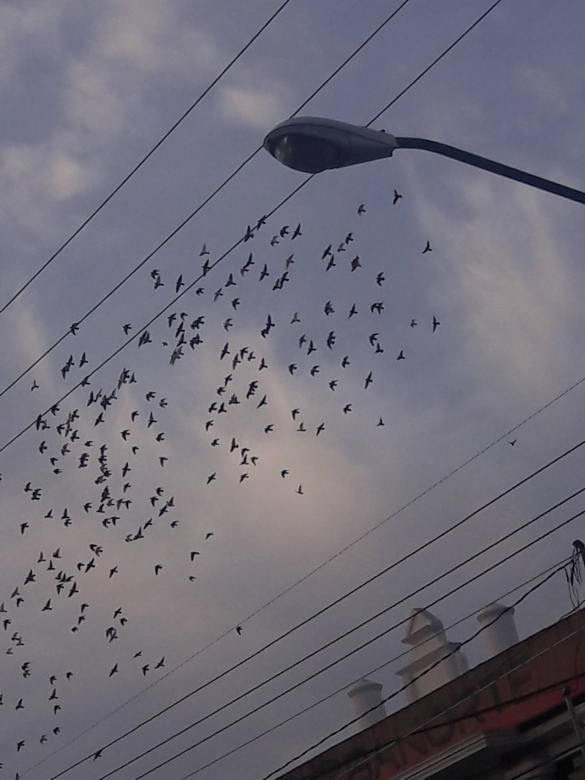 leetx-google-photo-79393-4 leetx-google-photo-79393-4