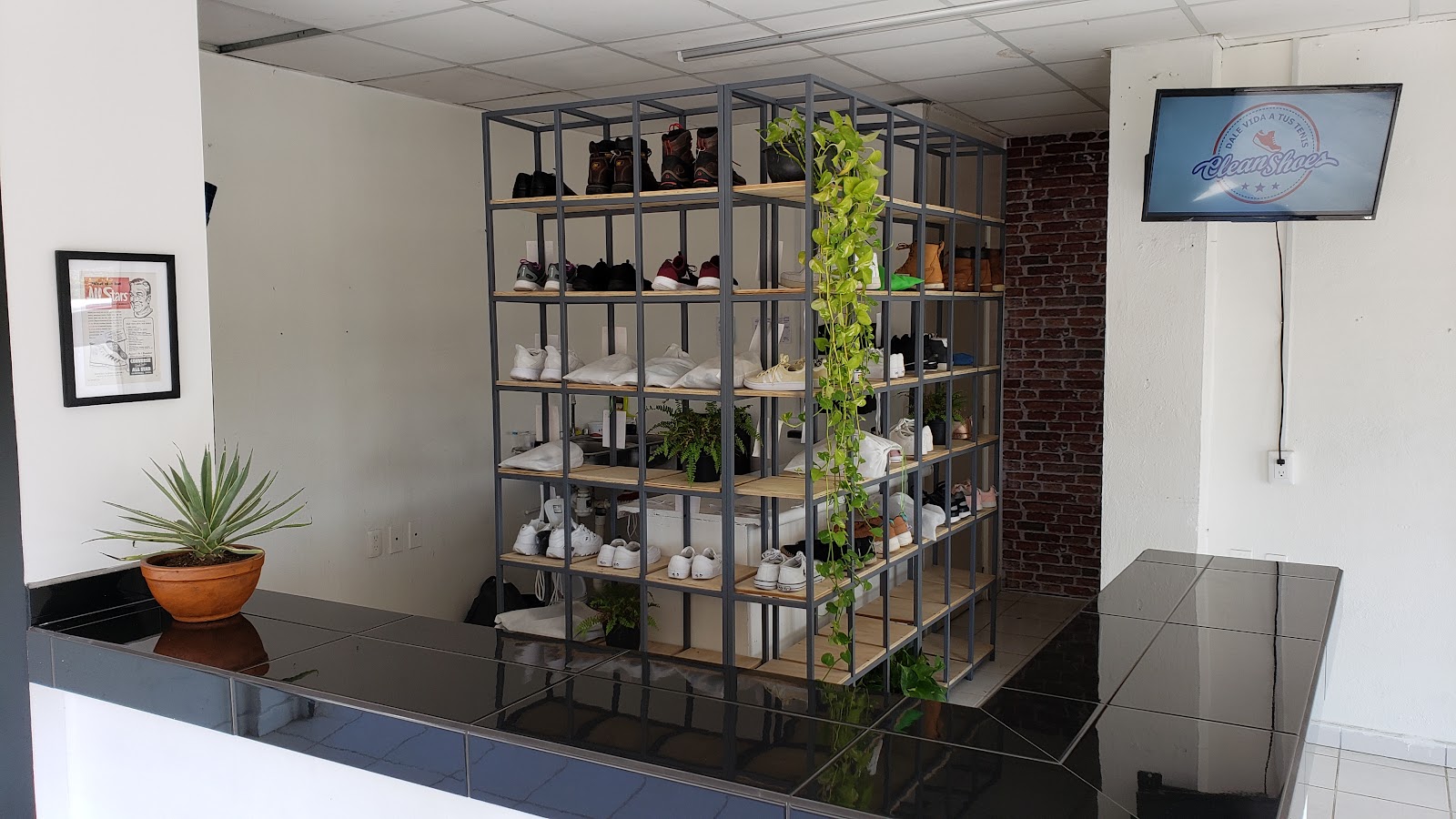 leetx-google-photo-79423-1