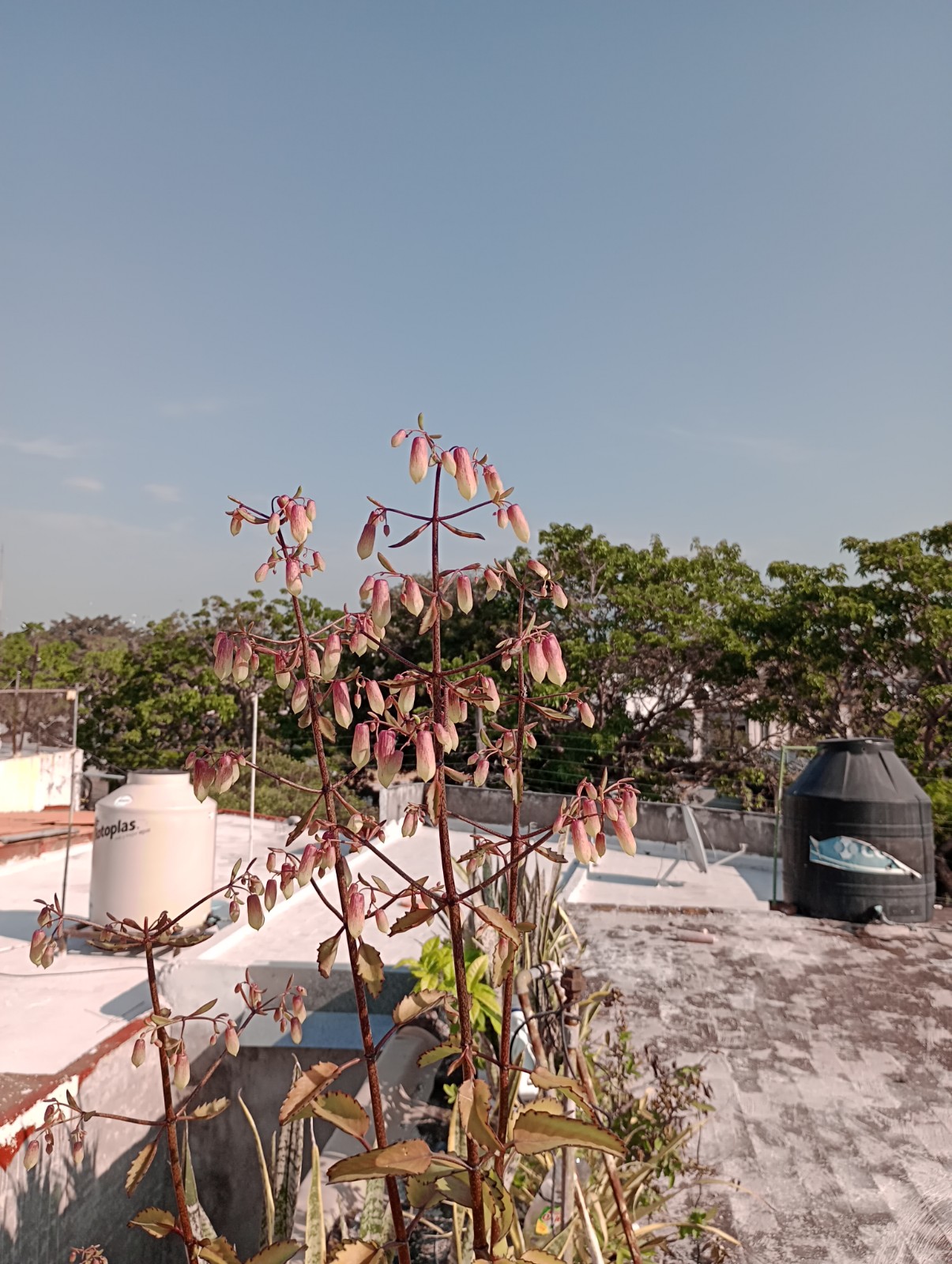 leetx-google-photo-79433-3 leetx-google-photo-79433-3