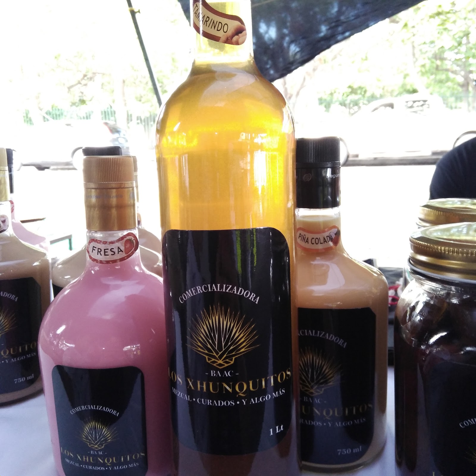 leetx-google-photo-79433-4 leetx-google-photo-79433-4