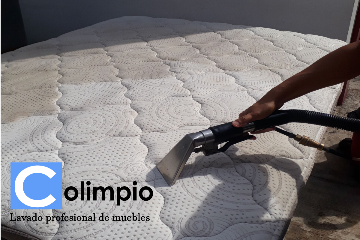 leetx-google-photo-79486-1