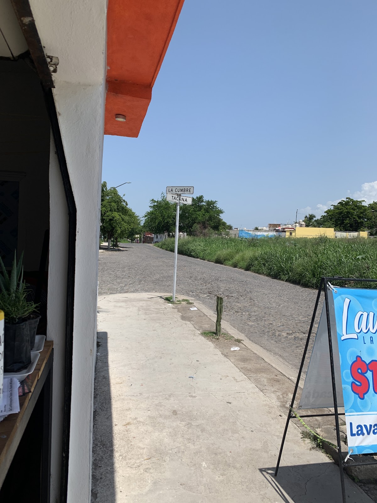 leetx-google-photo-79542-3 leetx-google-photo-79542-3