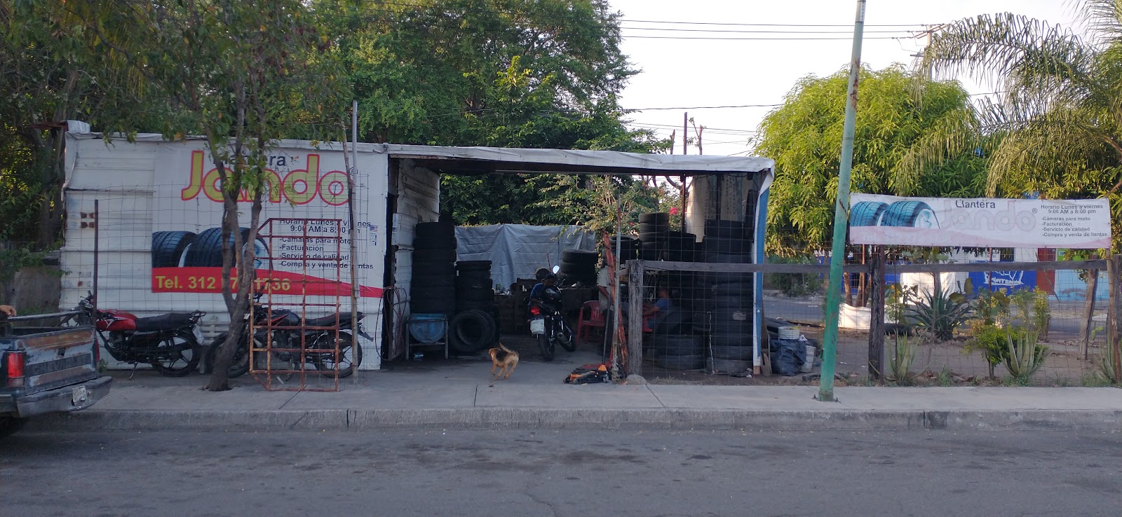 leetx-google-photo-79648-1