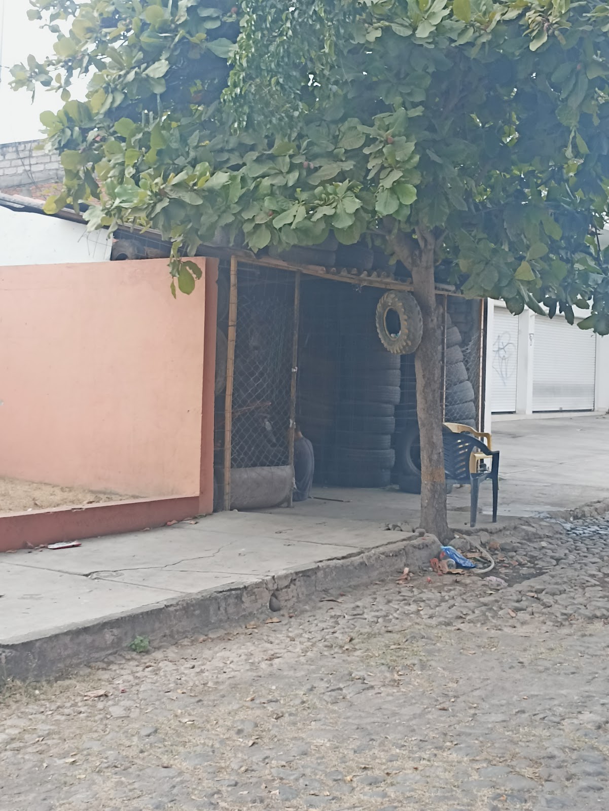 leetx-google-photo-79872-5 leetx-google-photo-79872-5