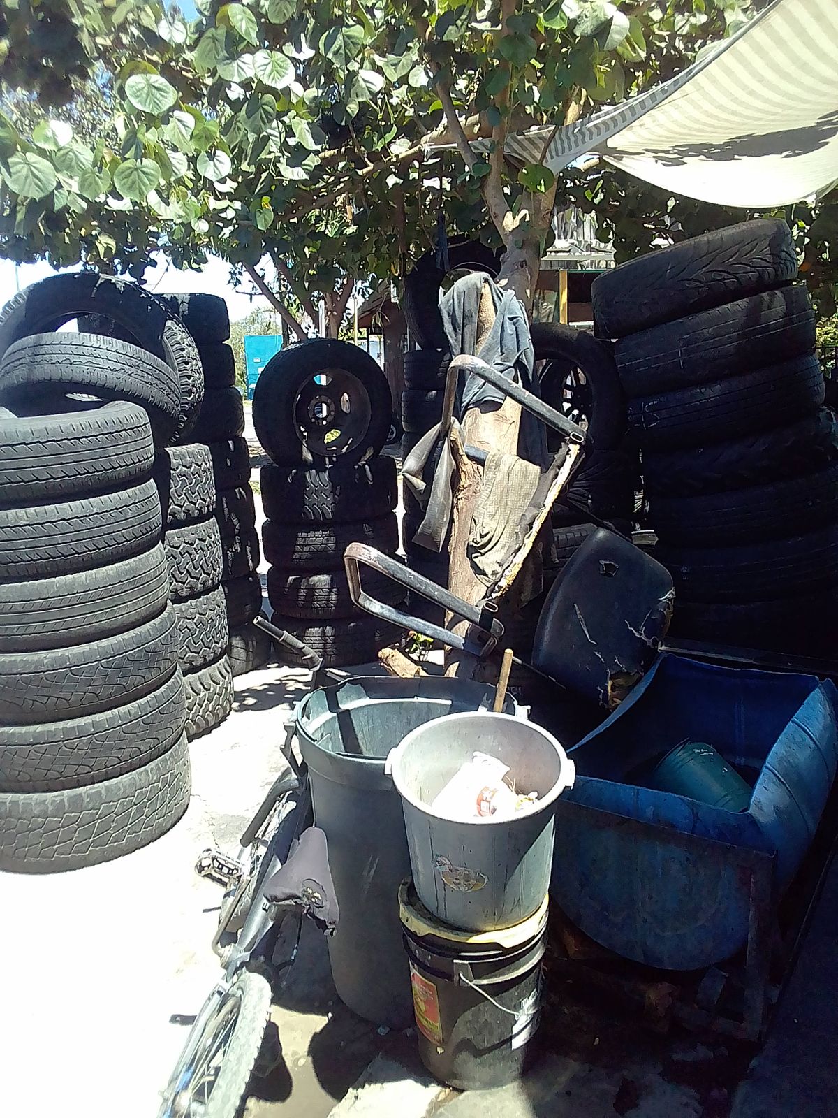 leetx-google-photo-79882-1