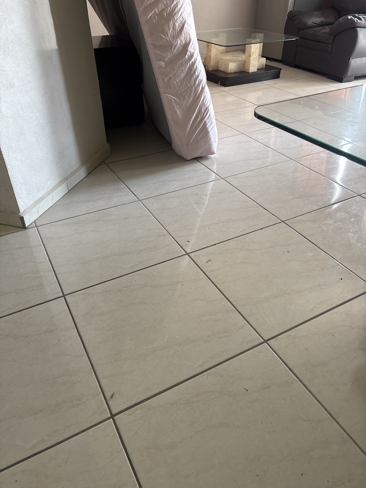 leetx-google-photo-80542-3 leetx-google-photo-80542-3