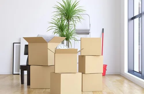 leetx-google-photo-80571-1