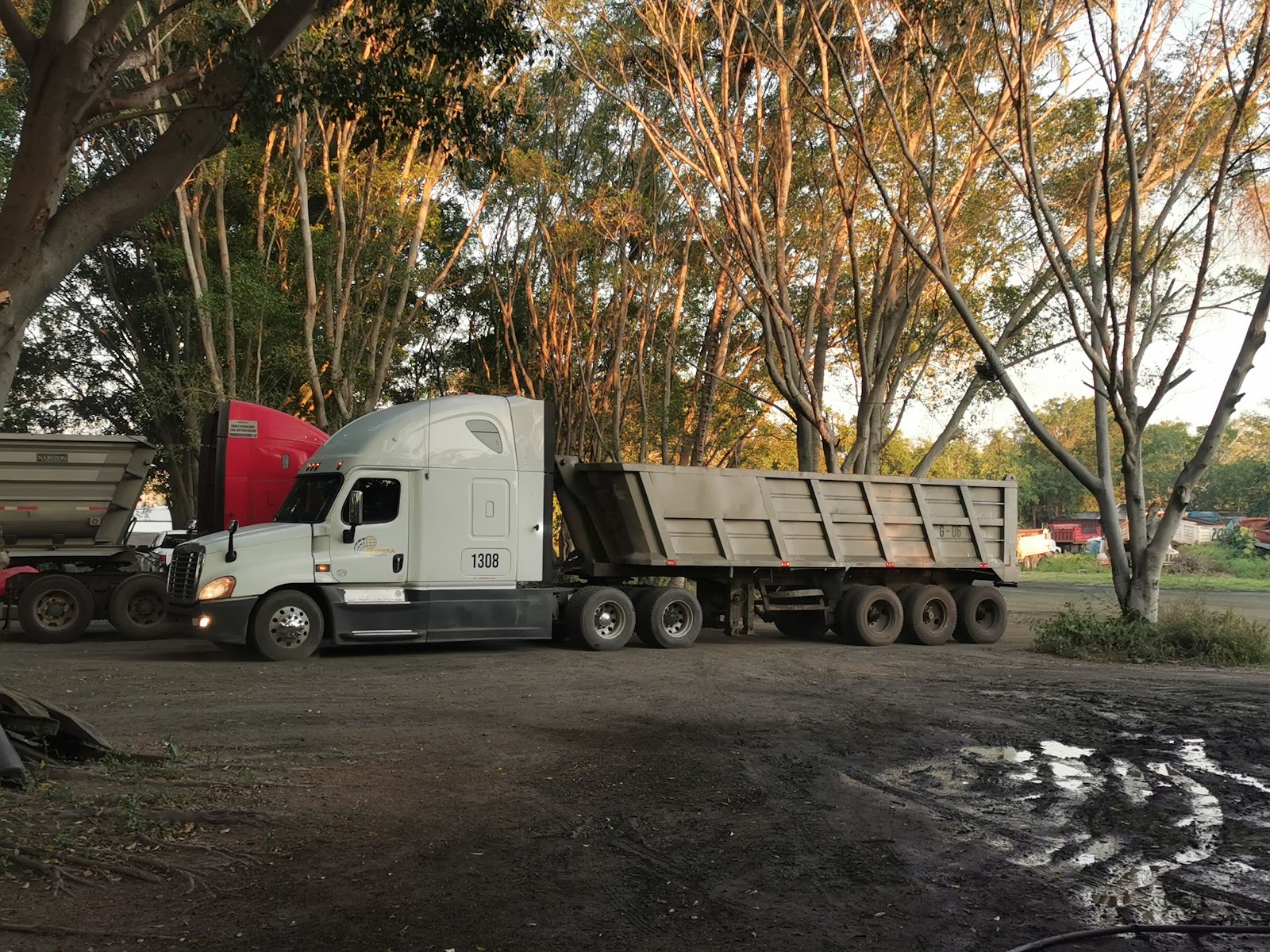 leetx-google-photo-80609-1