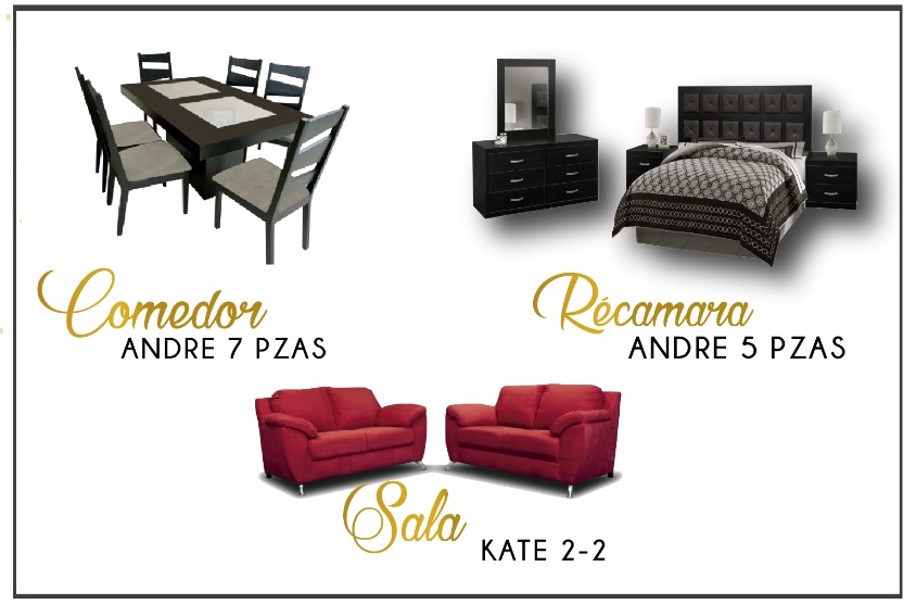 leetx-google-photo-80655-2 leetx-google-photo-80655-2